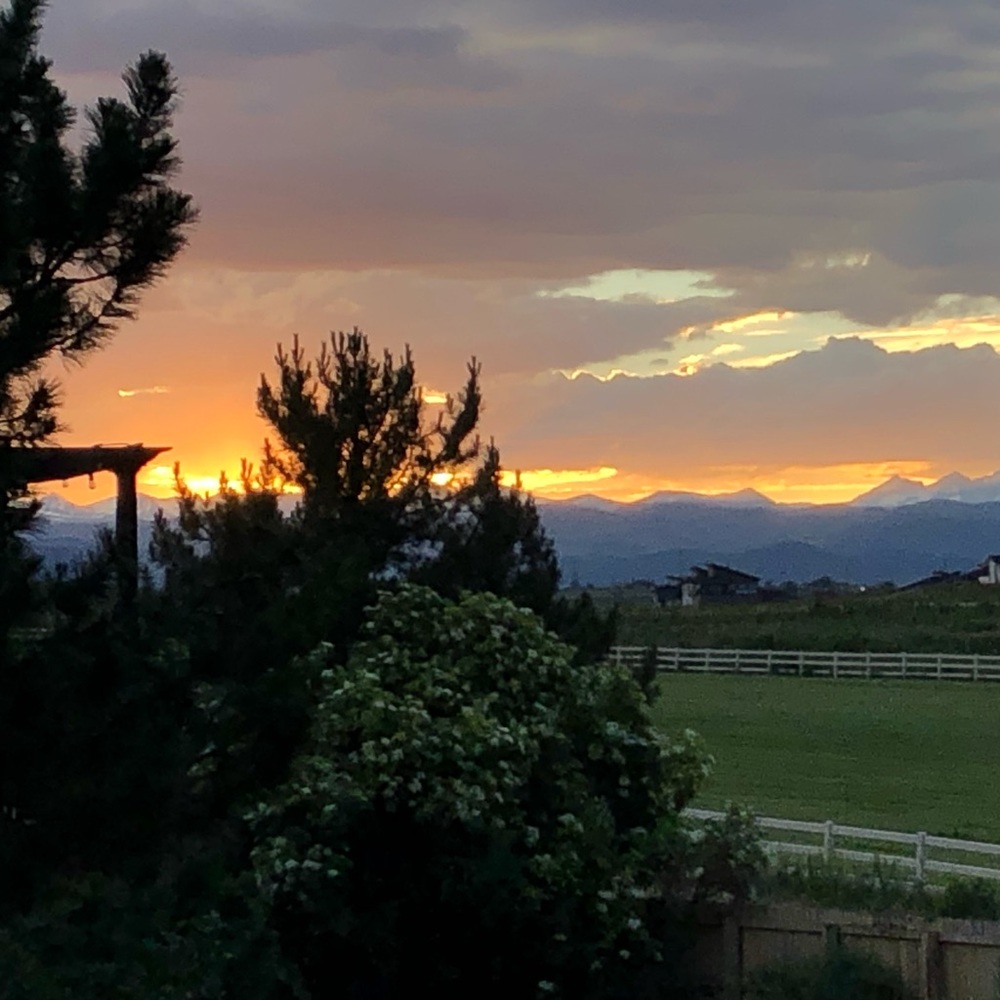 Meet your Posher, Maribel